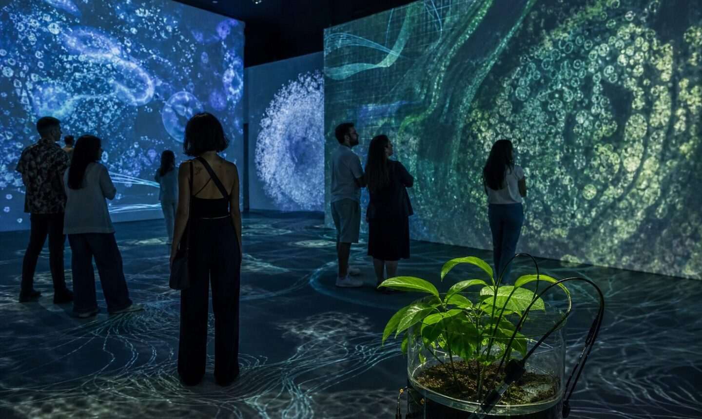 Visitantes observan una instalación inmersiva de Ricardo Arispe inspirada en datos ambientales y señales de una planta.