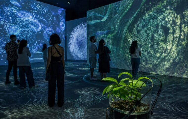 Visitantes observan una instalación inmersiva de Ricardo Arispe inspirada en datos ambientales y señales de una planta.